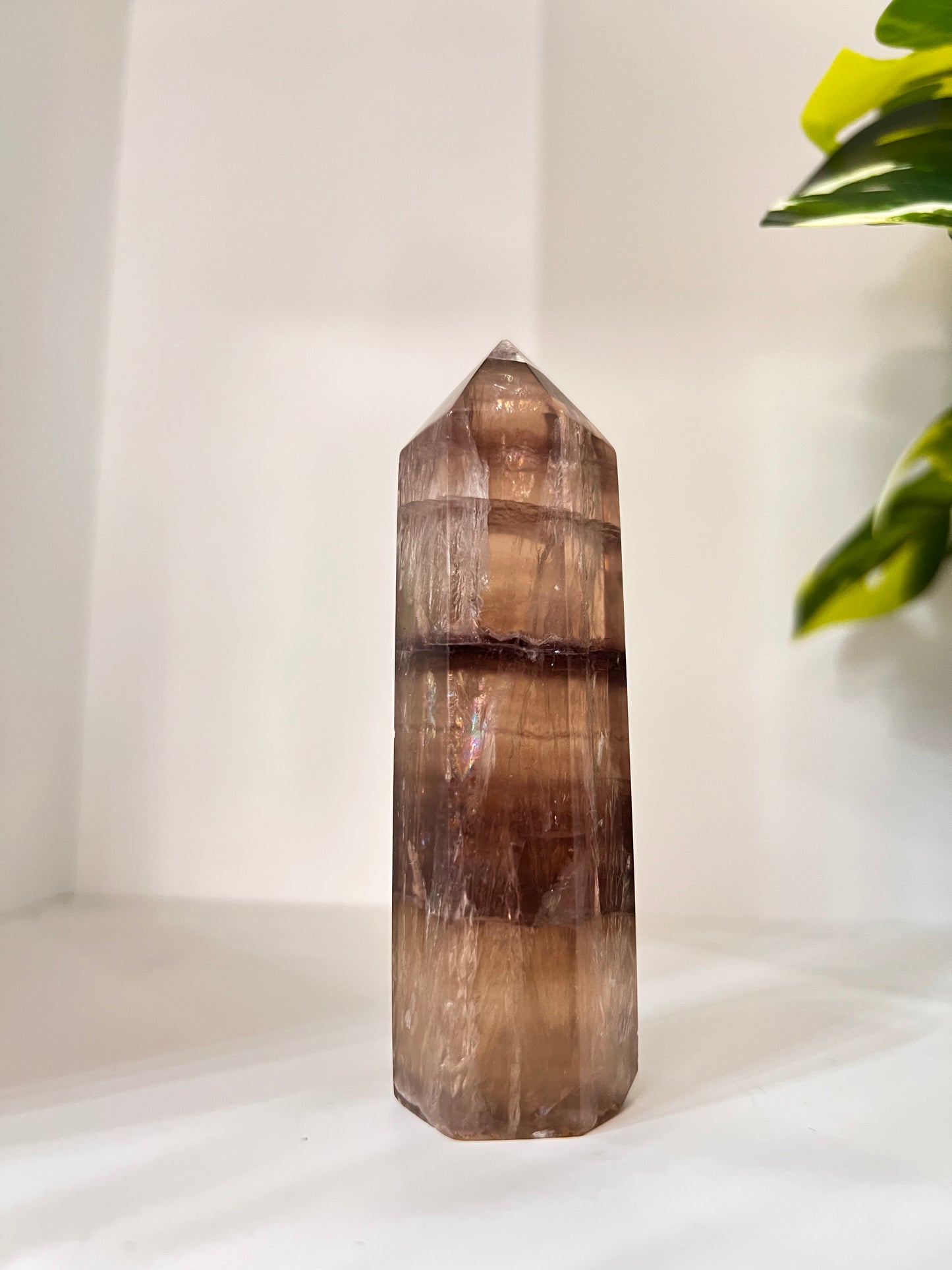 Rare Collectors Golden Fluorite