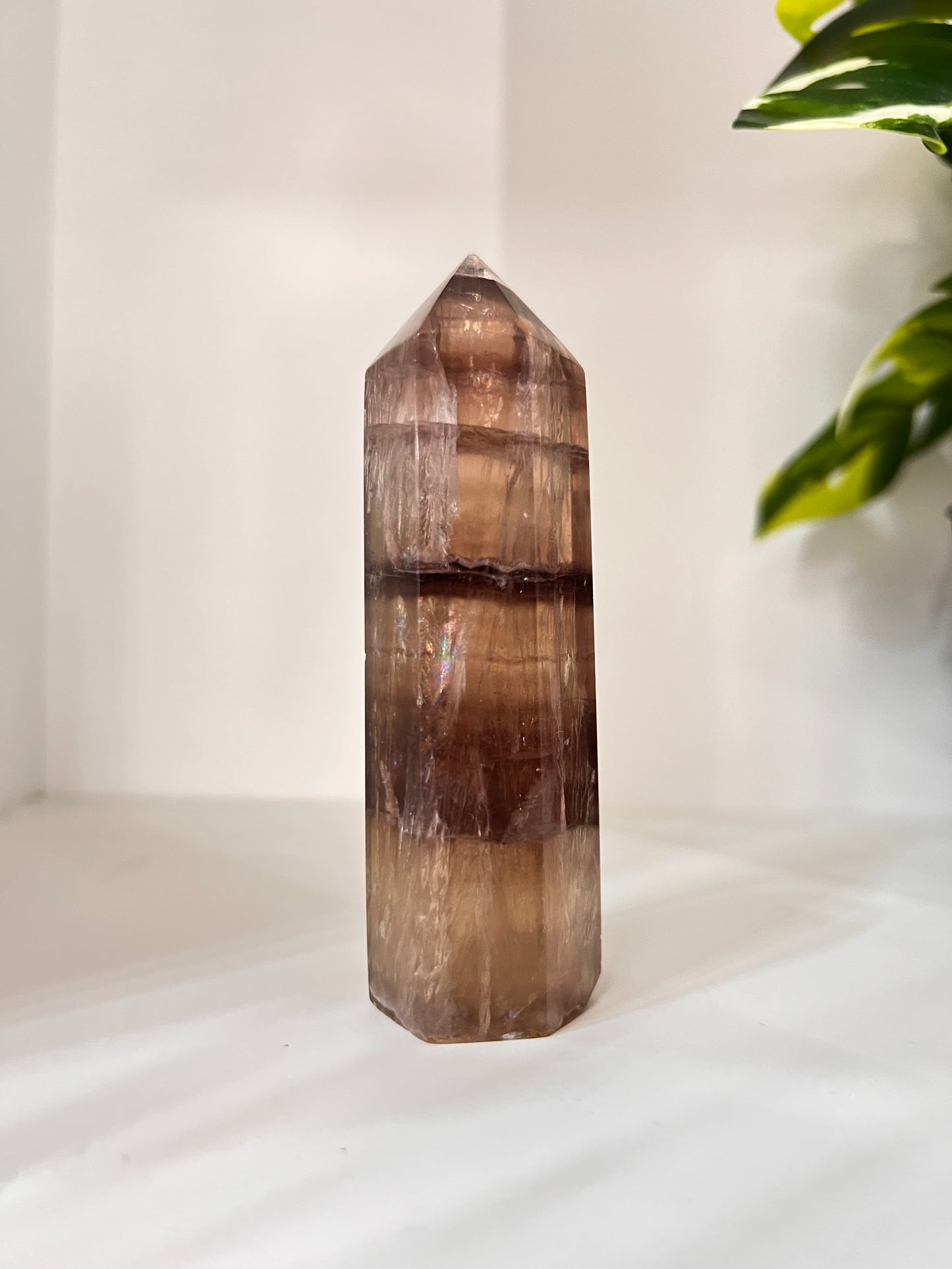 Rare Collectors Golden Fluorite