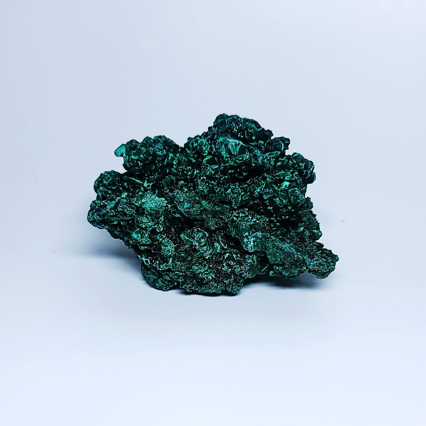 Rare Velvet Malachite