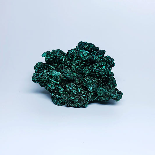 Rare Velvet Malachite