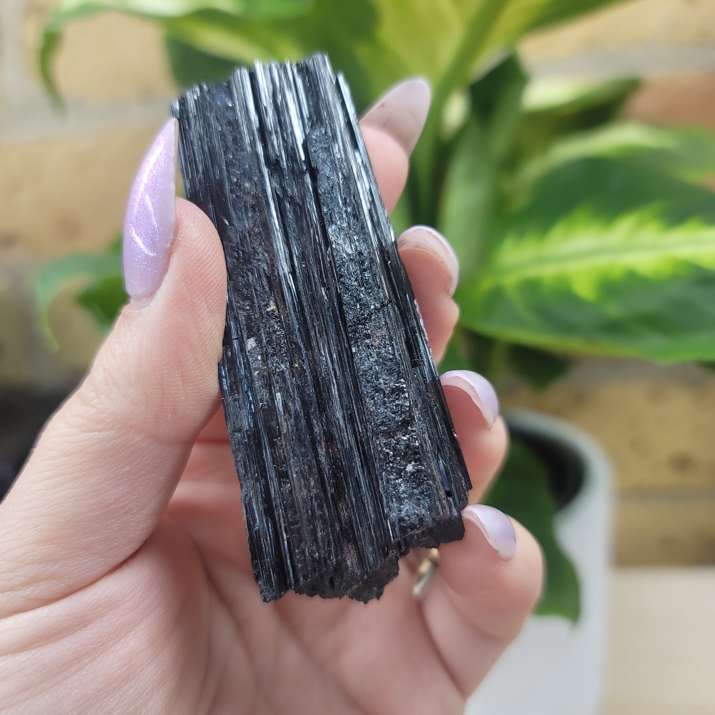 Black Tourmaline with Mica - Extra Quality