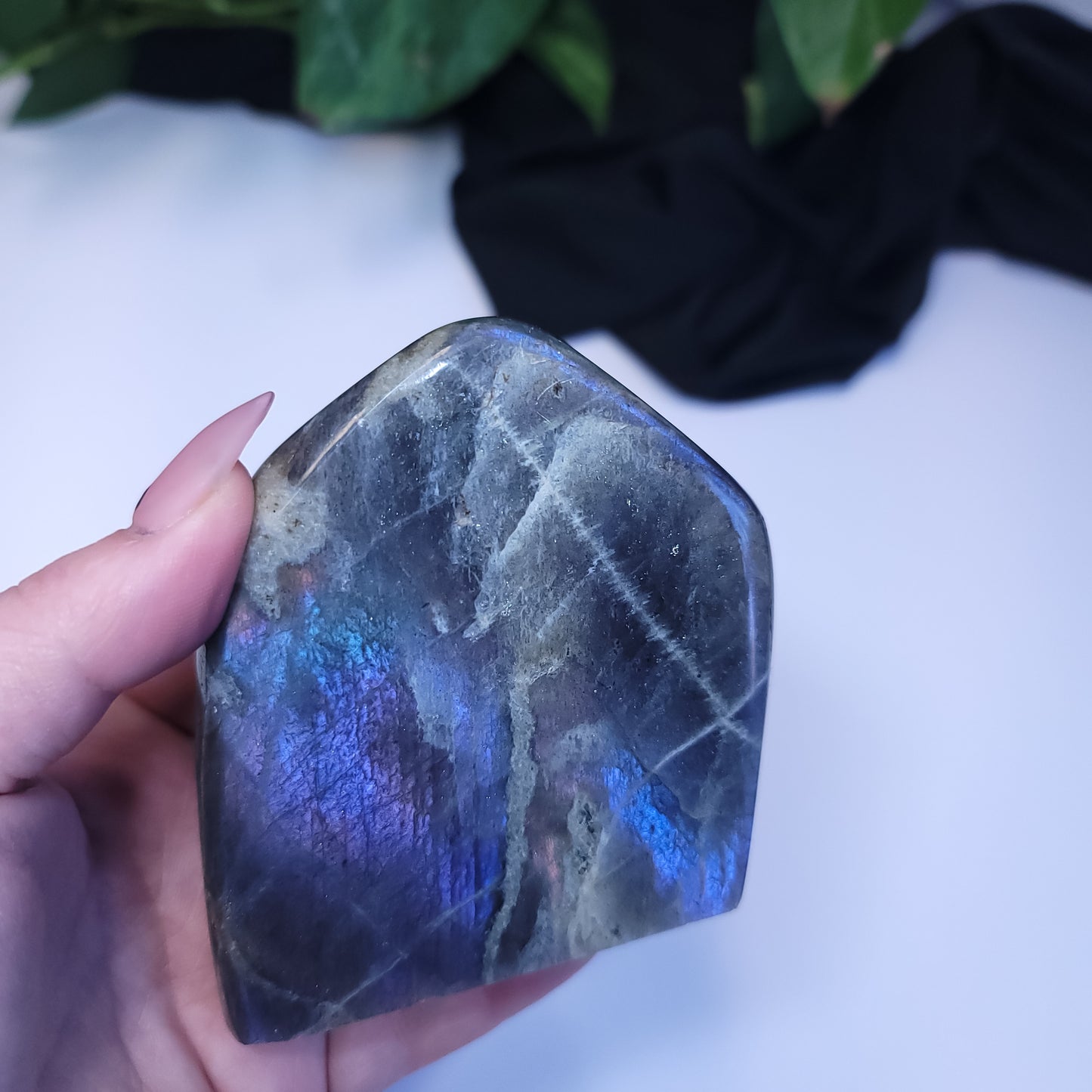 Purple Labradorite Free Form