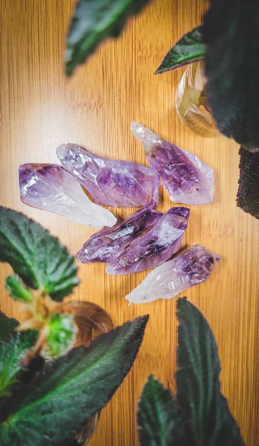 Extra Quality Amethyst Root