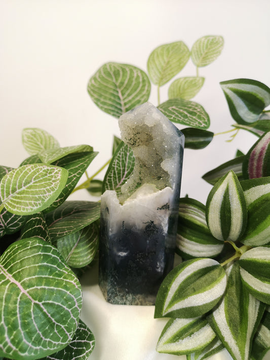 Moss agate sugar druzy 4"