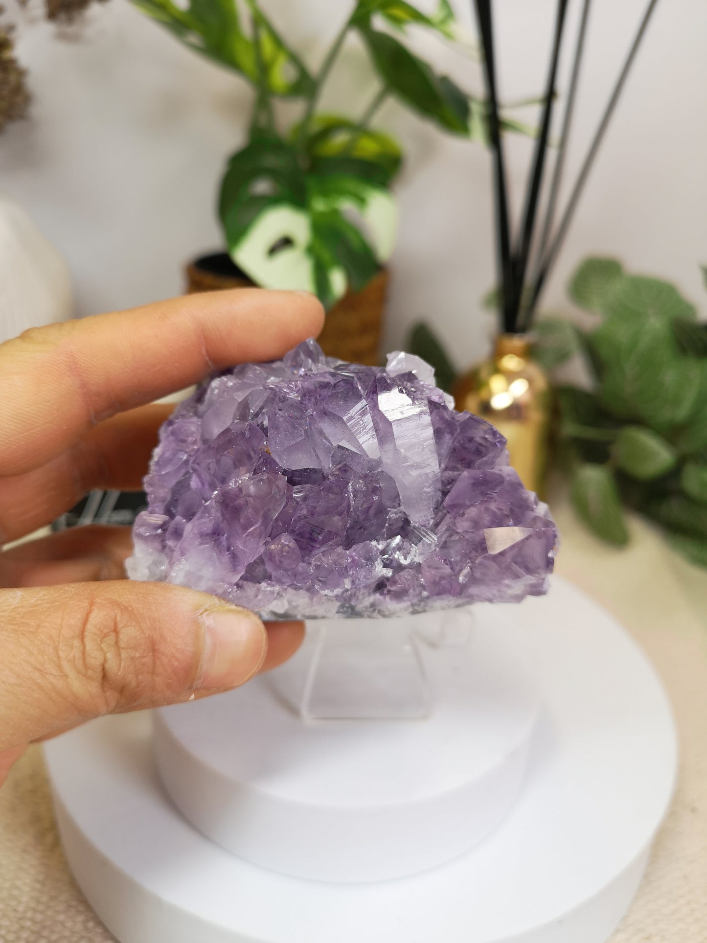 Medium Amethyst clusters