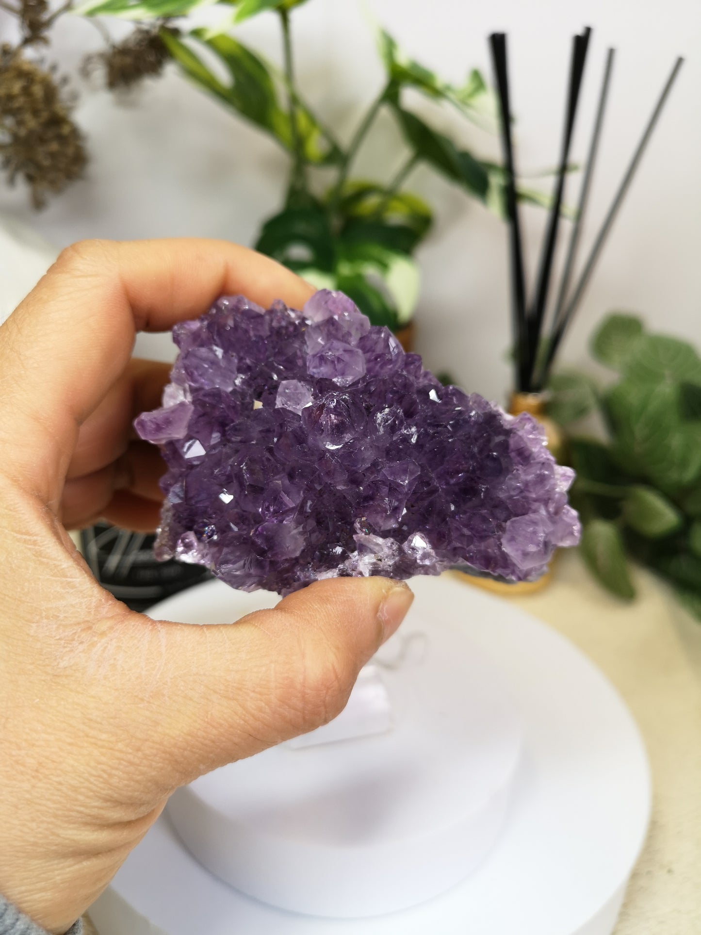 Medium Amethyst clusters