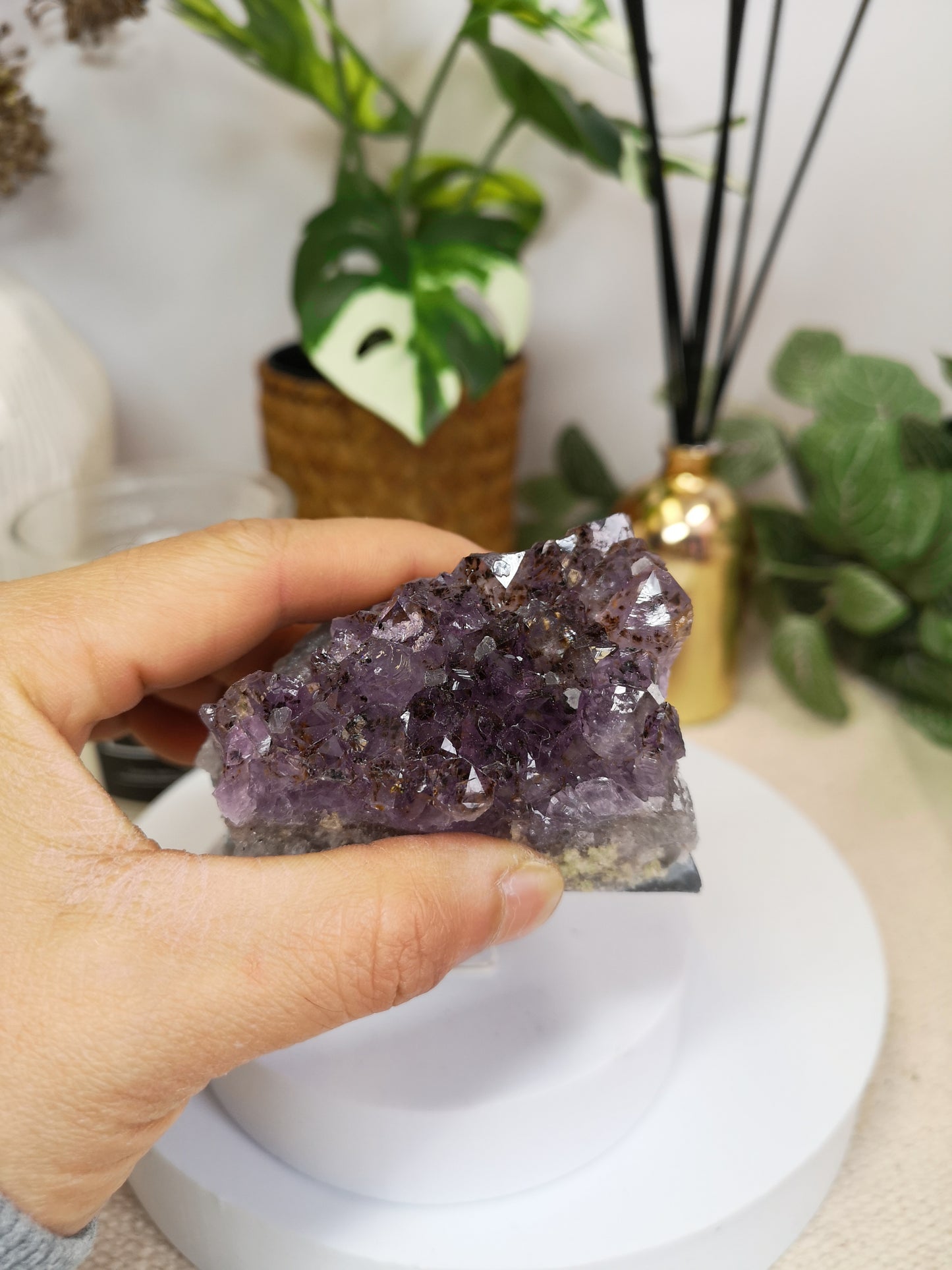 Medium Amethyst clusters