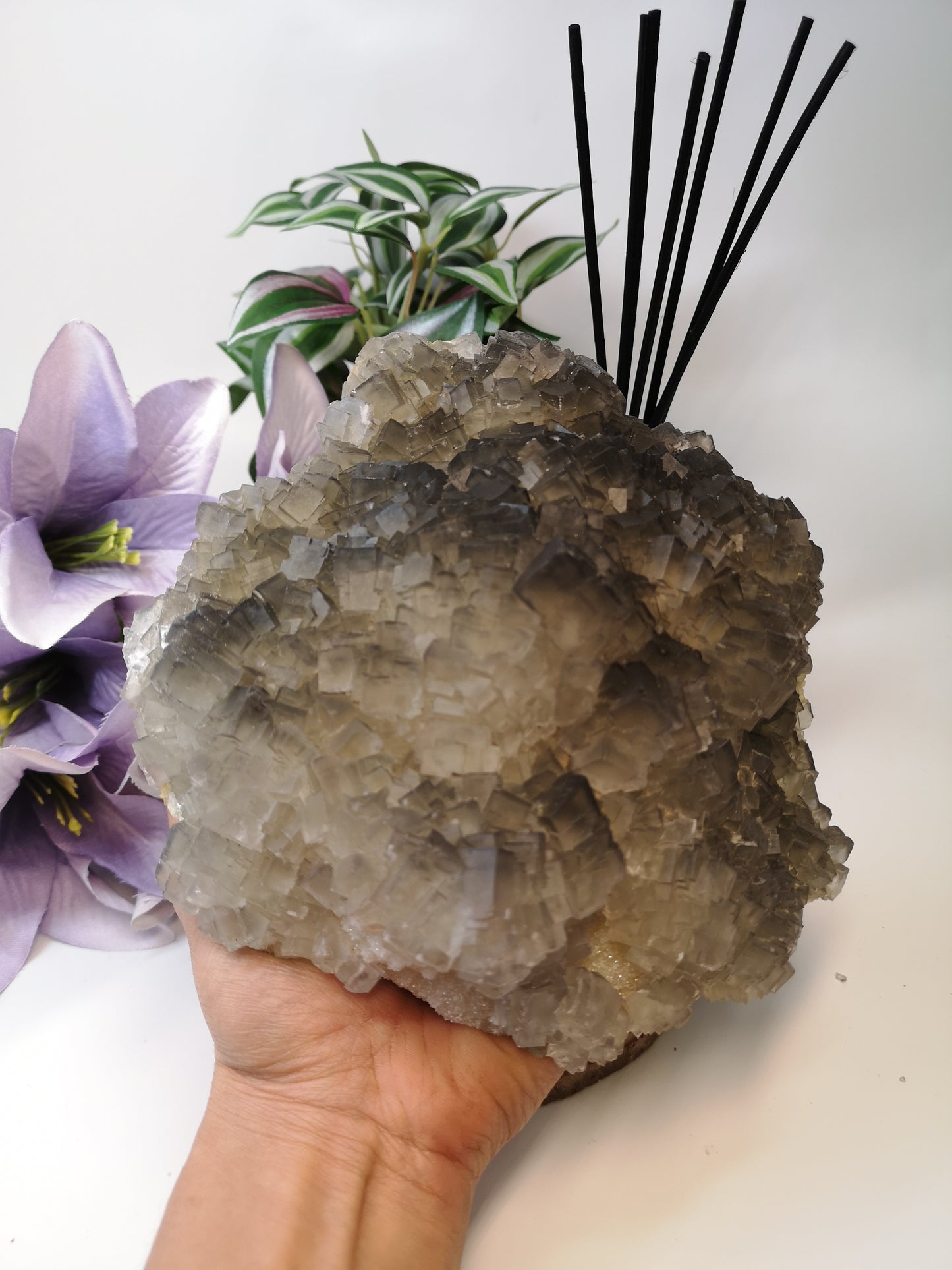 Raw fluorite *RARE*