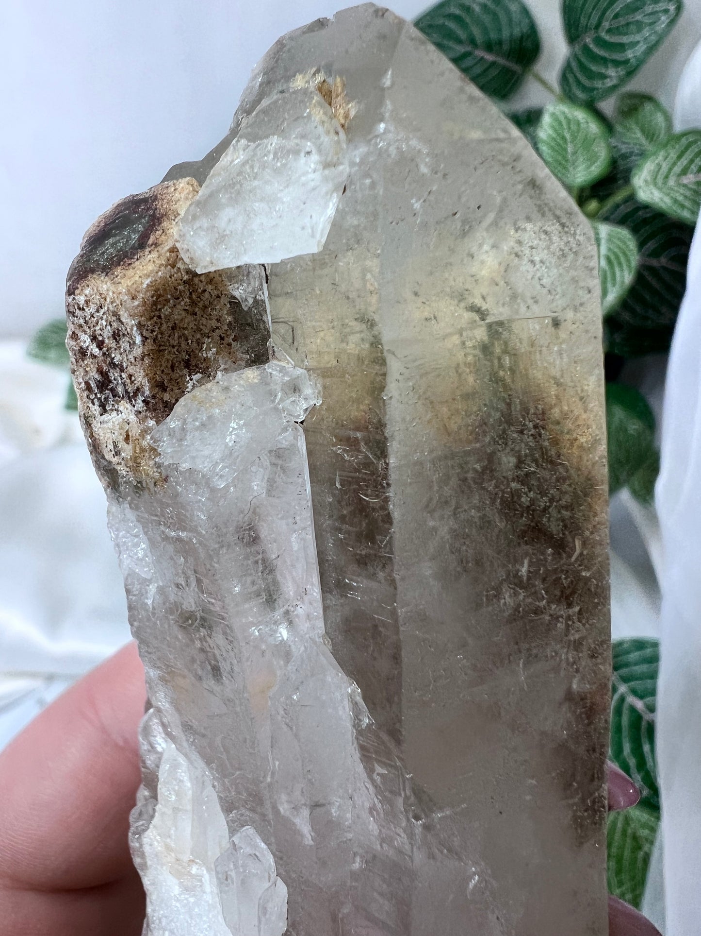 Green Phantom Quartz Point *RARE*