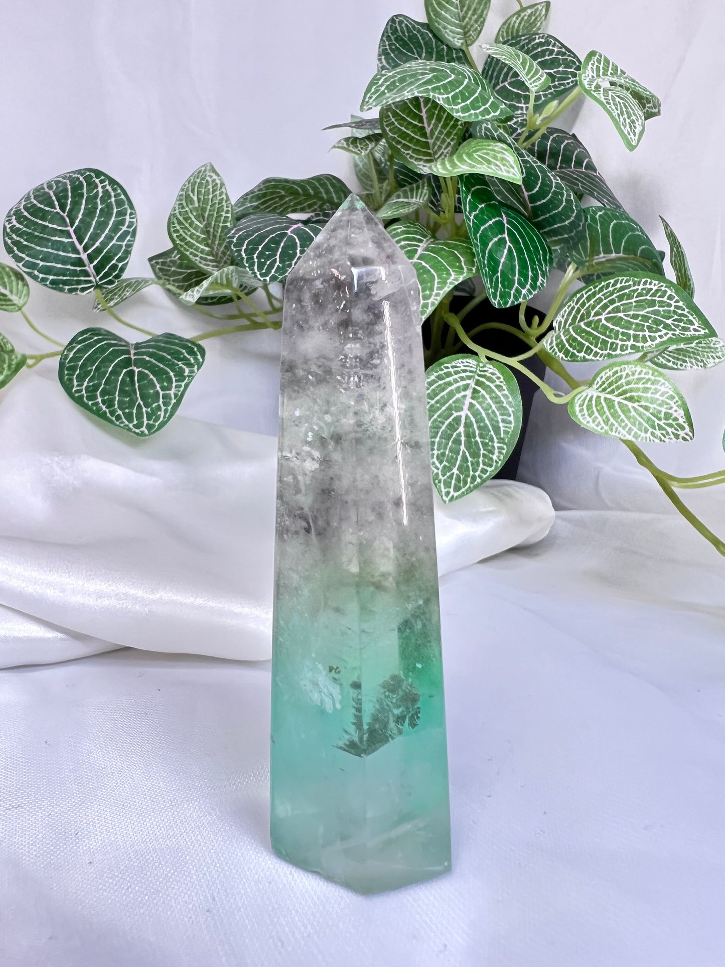 Dendritic Green Fluorite Point *RARE*