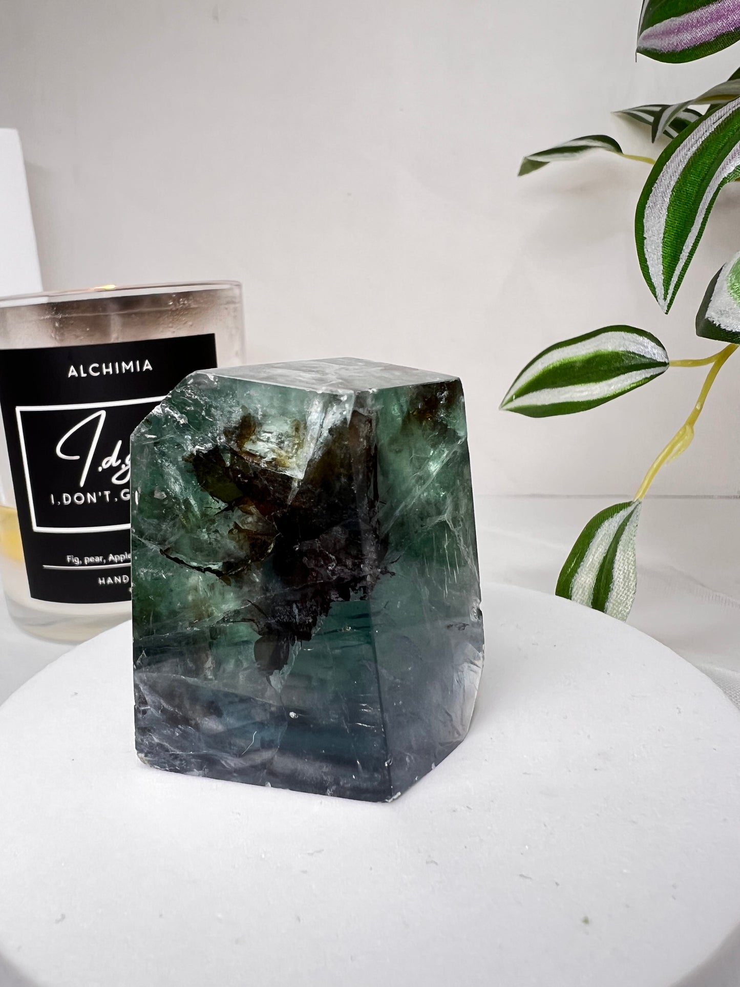 Dendritic Fluorite free form *RARE*