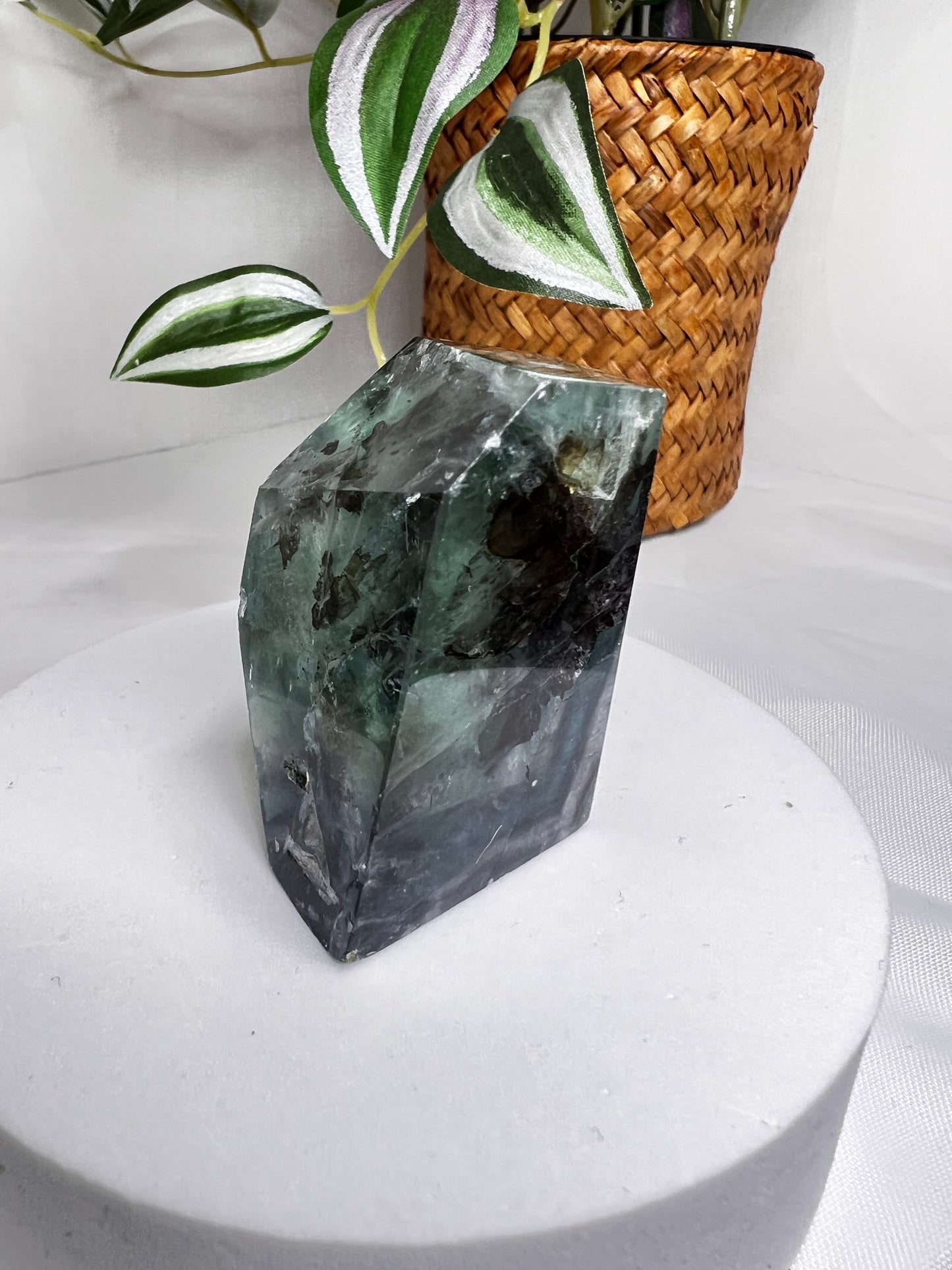 Dendritic Fluorite free form *RARE*