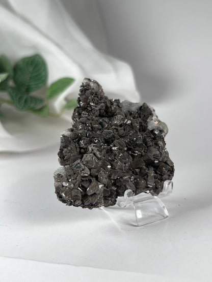 Black Quartz with Fluorite Cluster *RARE*
