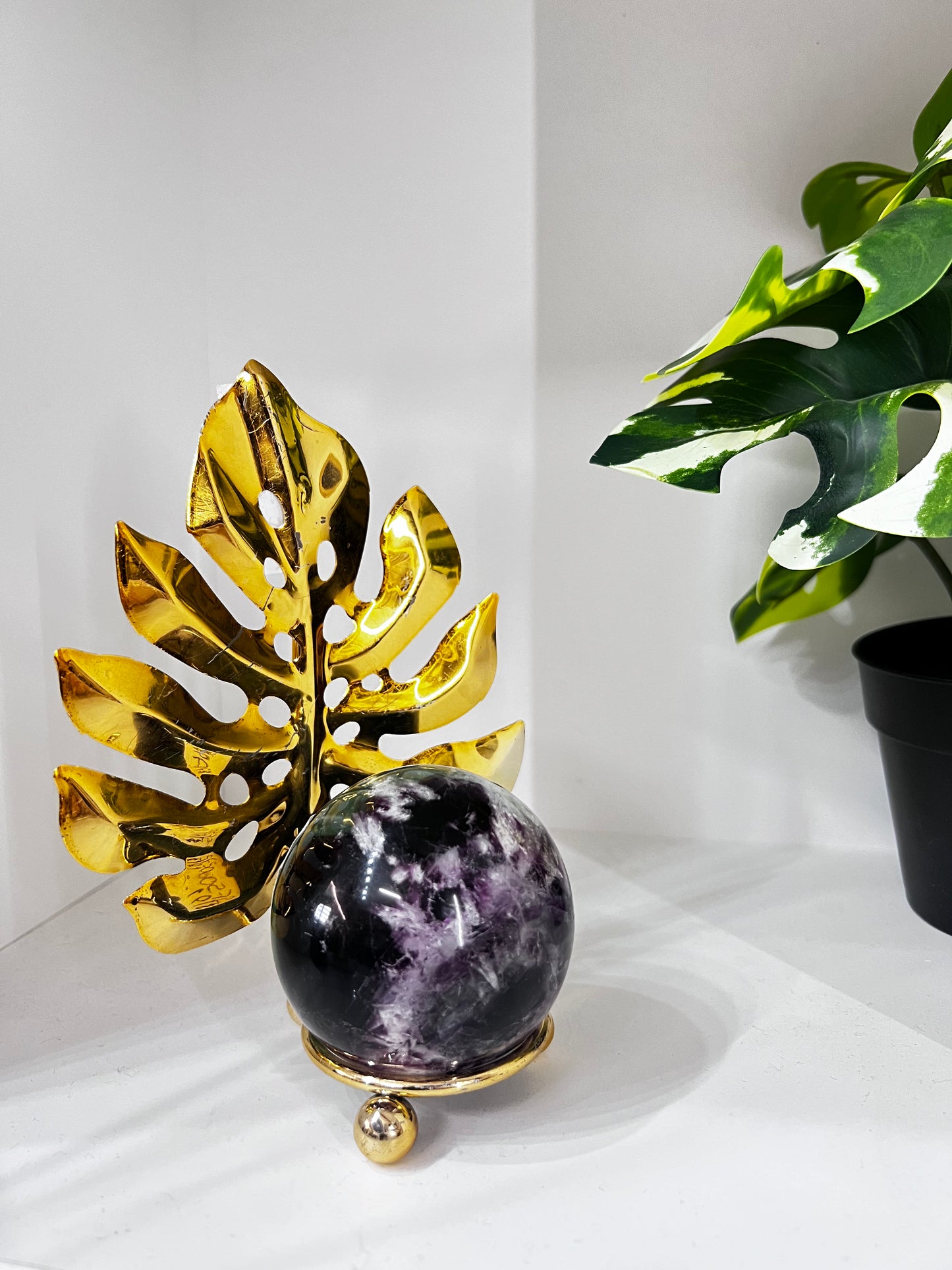 Monstera Sphere Holder