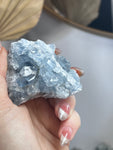 Blue Celestite Cluster