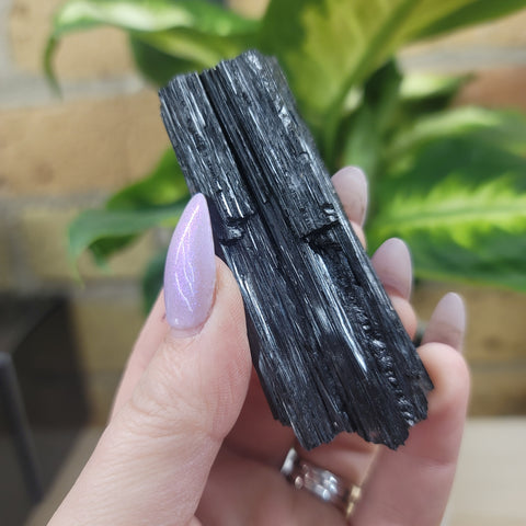 Black Tourmaline with Mica - Extra Quality