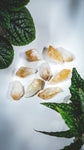 Extra Quality Citrine Points - Medium