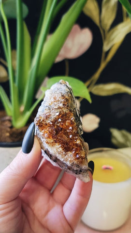 Citrine Druzy