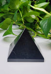 Black Tourmaline - Pyramid