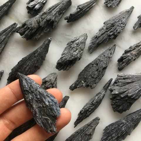 Black Kyanite Blades - Large