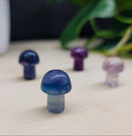 Mini Mushroom - Fluorite