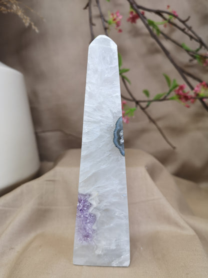 Amethyst quartz with moss *ULTRA RARE*