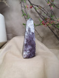 Amethyst with agate