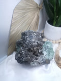 Black Quartz W Fluorite Cluster