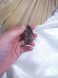 Garden Quartz Point