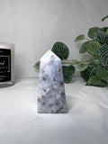 Dendritic Agate Point