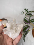 Angel Aura Quartz Cluster
