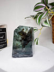 Dendritic Fluorite free form