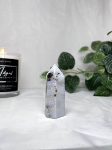 White Dendritic Agate